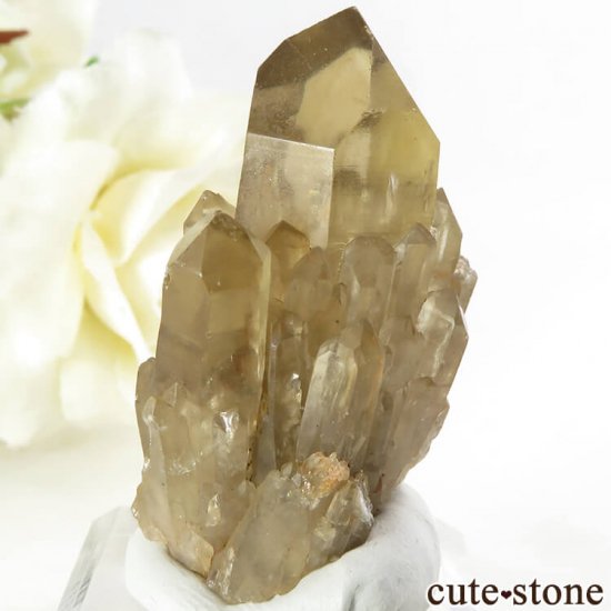 󥴻 ŷȥη뾽ʸС21.2gμ̿2 cute stone