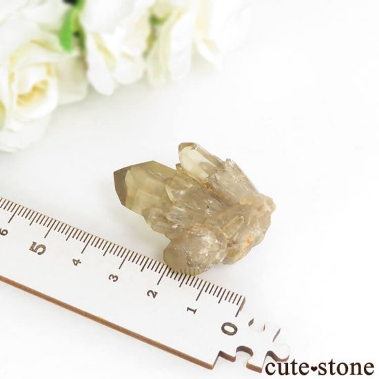 󥴻 ŷȥη뾽ʸС21.2gμ̿3 cute stone