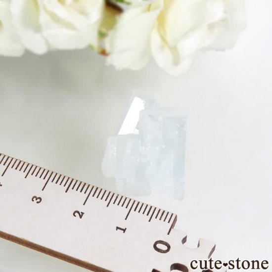 ѥ ޥη뾽ʸС 7.4gμ̿3 cute stone