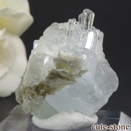 ѥ ޥη뾽ʸС 8.4gμ̿0 cute stone