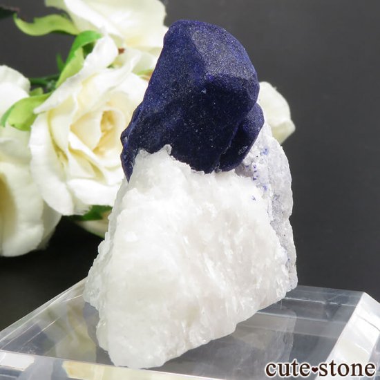 ե˥ 饺饤Ȥդ 59gμ̿0 cute stone