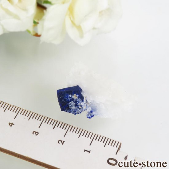ե˥ 饺饤Ȥդ 6.3gμ̿3 cute stone