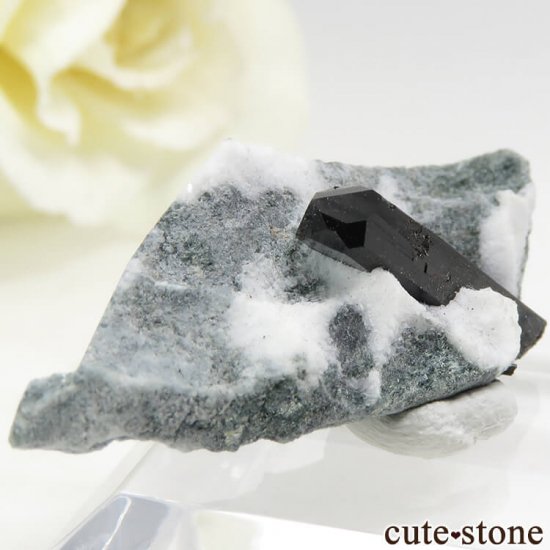 ե˥ ͥץʥȤդ뾽ʸС 2.7gμ̿0 cute stone