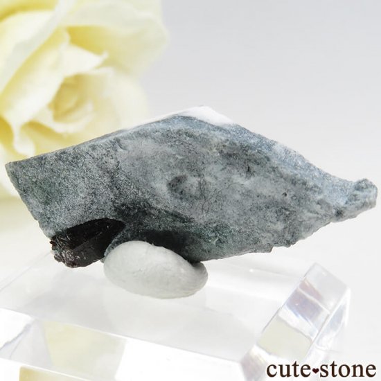 ե˥ ͥץʥȤդ뾽ʸС 2.7gμ̿1 cute stone