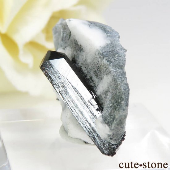 ե˥ ͥץʥȤդ뾽ʸС 2.7gμ̿2 cute stone