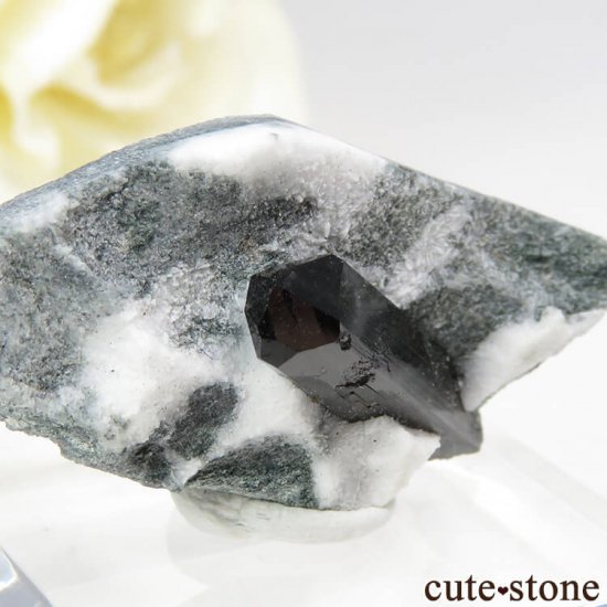 ե˥ ͥץʥȤդ뾽ʸС 2.7gμ̿3 cute stone