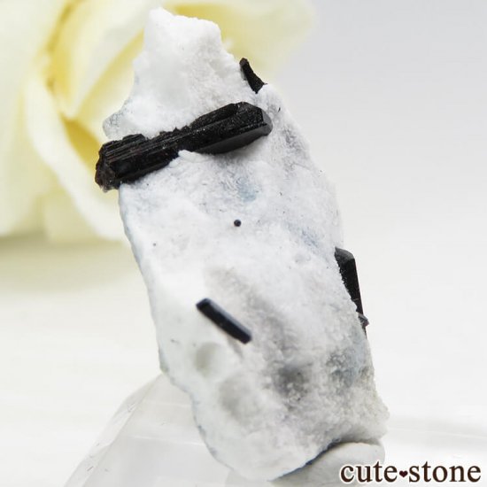 ե˥ ͥץʥȤդ뾽ʸС 3.9gμ̿1 cute stone