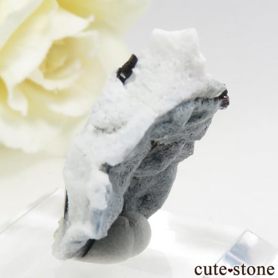 ե˥ ͥץʥȤդ뾽ʸС 3.9gμ̿3 cute stone