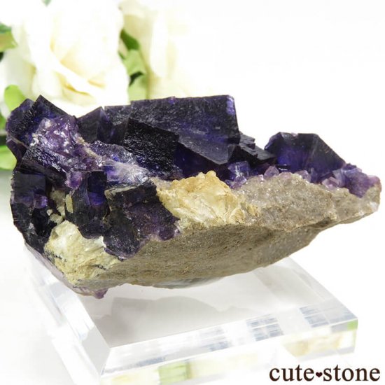 ꥫ ०åɹۻ ѡץե饤Ȥդ 117gμ̿1 cute stone