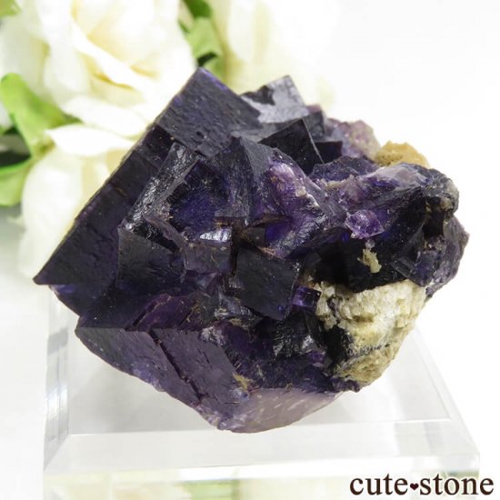 ꥫ ०åɹۻ ѡץե饤Ȥդ 117gμ̿2 cute stone