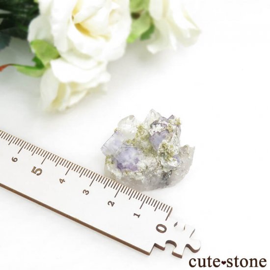 䥪󥷥 ֥롼ե饤ȡ 15.4gμ̿4 cute stone