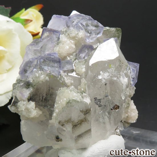 䥪󥷥 ֥롼ե饤ȡ 49.6gμ̿0 cute stone