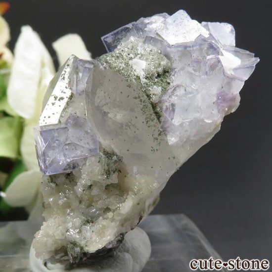 䥪󥷥 ֥롼ե饤ȡ 49.6gμ̿3 cute stone