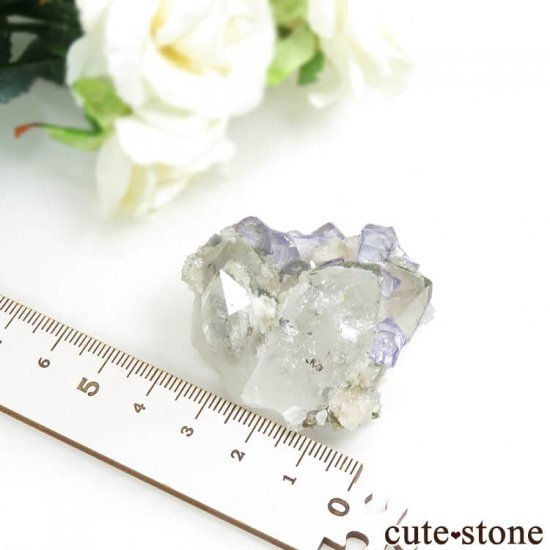 䥪󥷥 ֥롼ե饤ȡ 49.6gμ̿6 cute stone