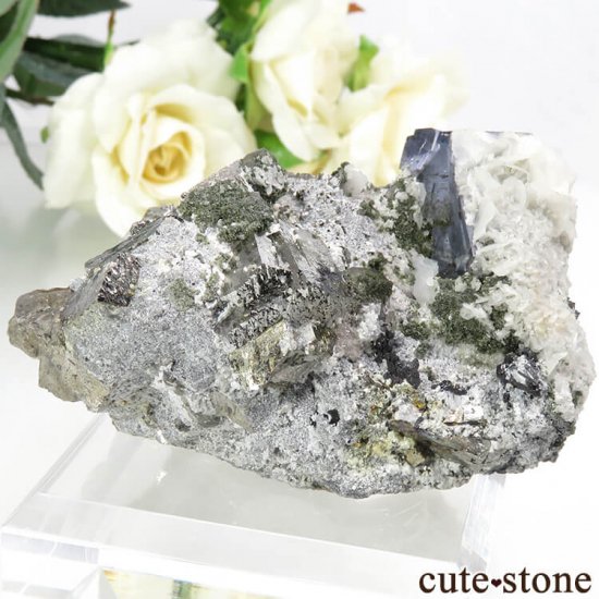 䥪󥷥 ֥롼ե饤ȡ륻Υѥ饤ȡ륵 179gμ̿1 cute stone