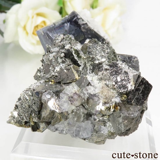 䥪󥷥 ֥롼ե饤ȡ륻Υѥ饤ȡ륵 179gμ̿2 cute stone