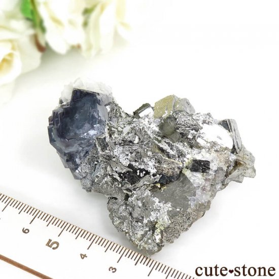 䥪󥷥 ֥롼ե饤ȡ륻Υѥ饤ȡ륵 179gμ̿6 cute stone