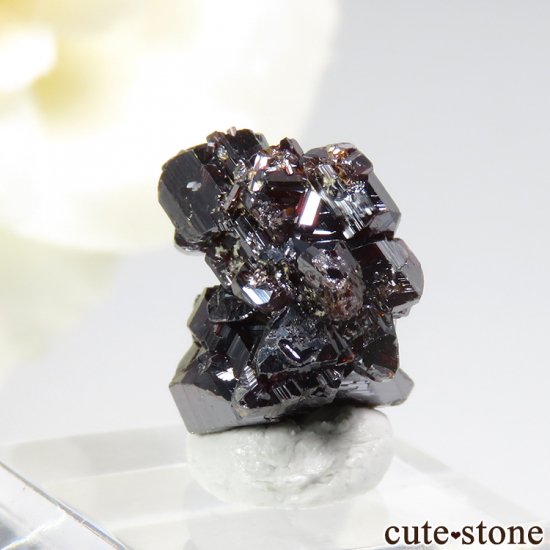 ֥饸 ǥޥƥʻΥη뾽 5.4ctμ̿0 cute stone