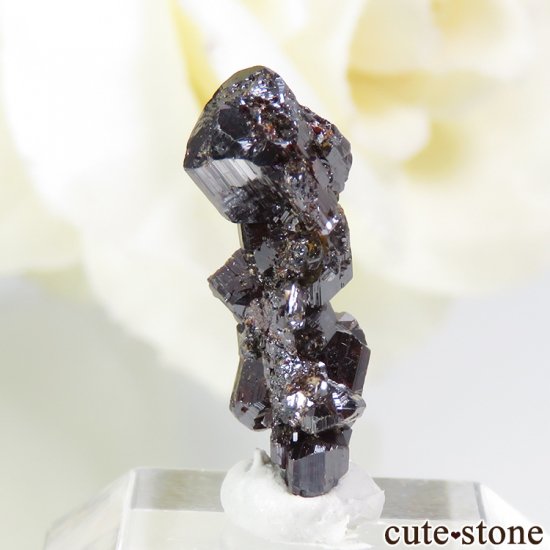 ֥饸 ǥޥƥʻΥη뾽 4.7ctμ̿0 cute stone