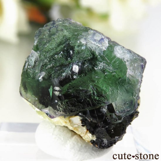ʥߥӥ 󥴻 ꡼ե饤Ȥθ 12.1gμ̿0 cute stone