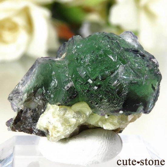 ʥߥӥ 󥴻 ꡼ե饤Ȥθ 12.1gμ̿1 cute stone