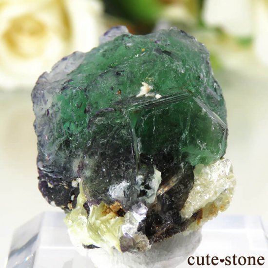 ʥߥӥ 󥴻 ꡼ե饤Ȥθ 12.1gμ̿2 cute stone
