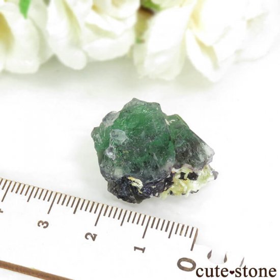 ʥߥӥ 󥴻 ꡼ե饤Ȥθ 12.1gμ̿3 cute stone