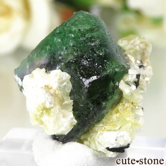 ʥߥӥ 󥴻 ꡼ե饤Ȥθ 6.8gμ̿0 cute stone