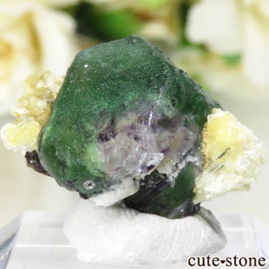 ʥߥӥ 󥴻 ꡼ե饤Ȥθ 6.8gμ̿1 cute stone