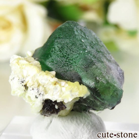 ʥߥӥ 󥴻 ꡼ե饤Ȥθ 6.8gμ̿2 cute stone