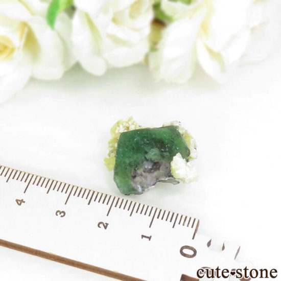 ʥߥӥ 󥴻 ꡼ե饤Ȥθ 6.8gμ̿3 cute stone