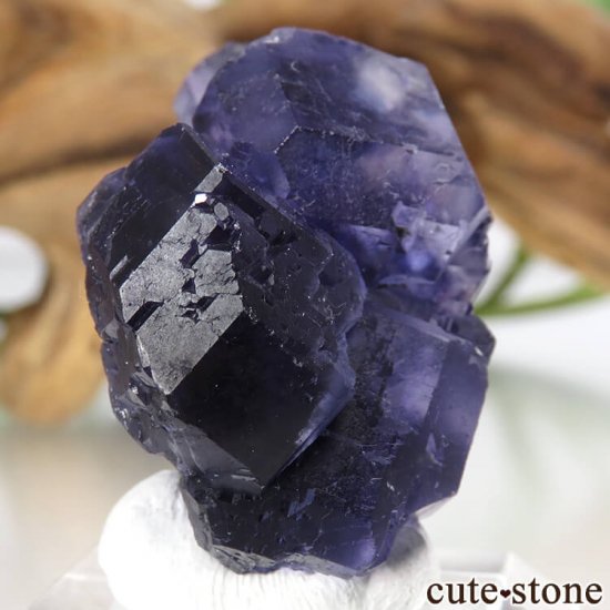  ʡʻѡץ֥롼ե饤Ȥη뾽ʸС 21.9gμ̿0 cute stone
