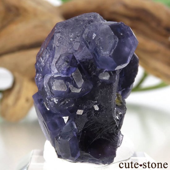  ʡʻѡץ֥롼ե饤Ȥη뾽ʸС 21.9gμ̿2 cute stone