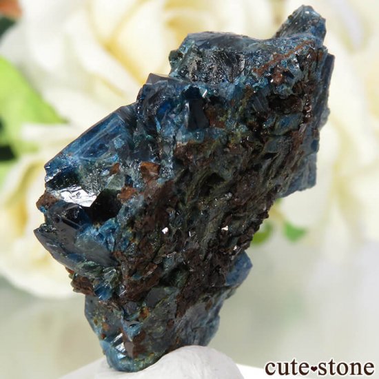 ʥ 桼 ԥåɥ꡼ 饺饤(ŷ)η뾽ʸС 12.3gμ̿1 cute stone