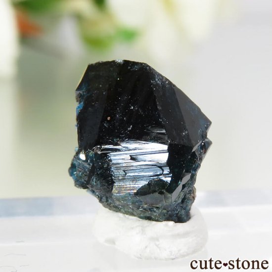 ʥ 桼 ԥåɥ꡼ 饺饤(ŷ)η뾽ʸС 1.4gμ̿0 cute stone
