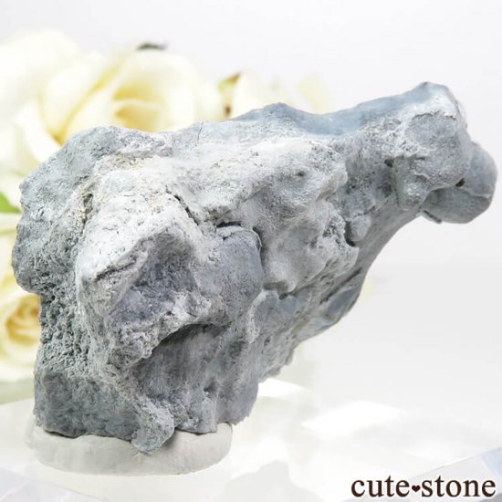 ե˥ ٥˥ȥȡͥץʥȤդ뾽ʸС 24.2gμ̿1 cute stone