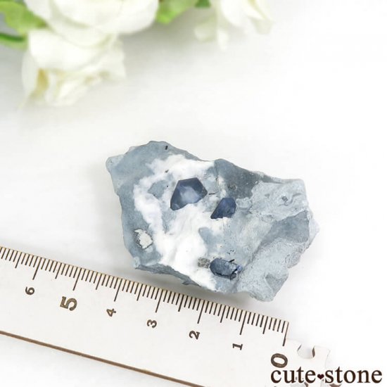 ե˥ ٥˥ȥȡͥץʥȤդ뾽ʸС 24.2gμ̿6 cute stone