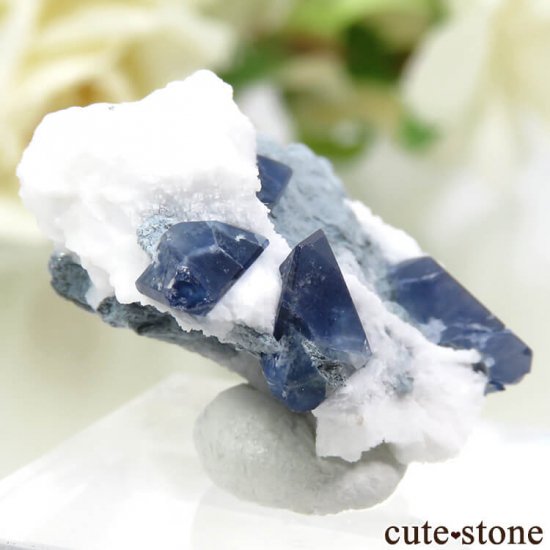 ե˥ ٥˥ȥȤդ뾽ʸС 3.3gμ̿0 cute stone