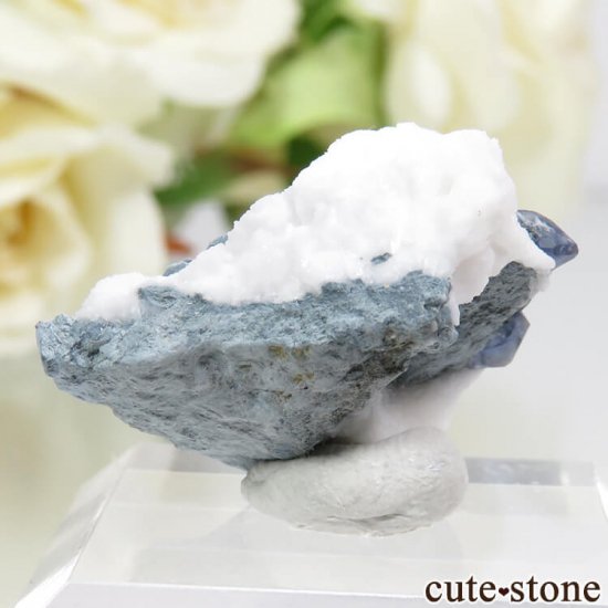 ե˥ ٥˥ȥȤդ뾽ʸС 3.3gμ̿1 cute stone