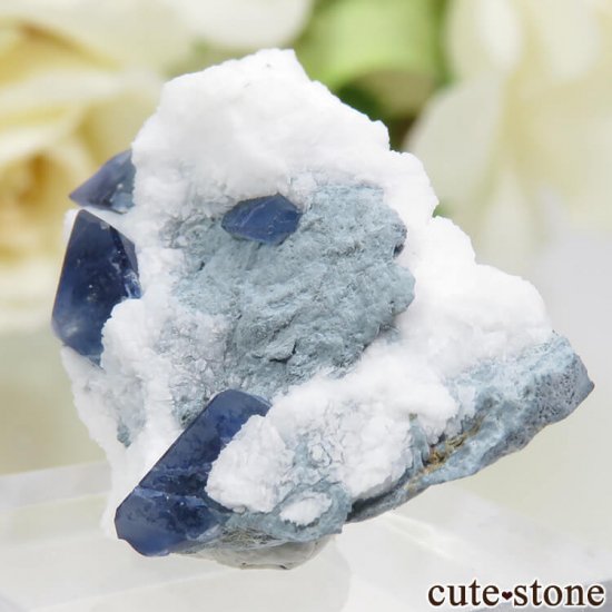 ե˥ ٥˥ȥȤդ뾽ʸС 3.3gμ̿2 cute stone