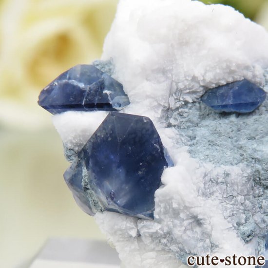 ե˥ ٥˥ȥȤդ뾽ʸС 3.3gμ̿3 cute stone
