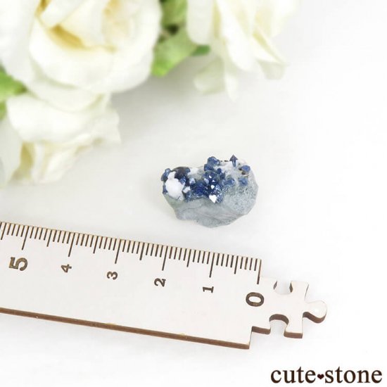 ե˥ ٥˥ȥȤդ뾽ʸС 4.2gμ̿4 cute stone