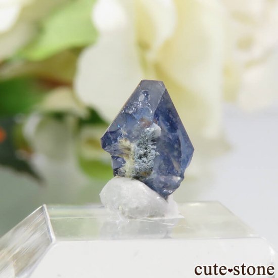ե˥ ٥˥ȥȤη뾽ʸС 1.3ctμ̿1 cute stone