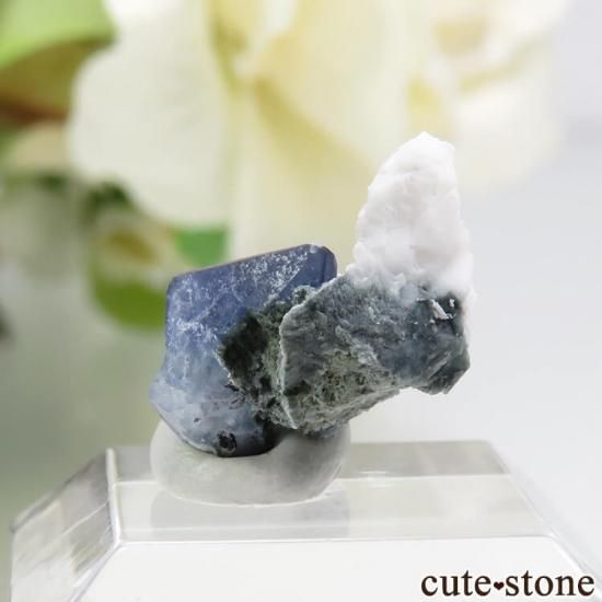 ե˥ ٥˥ȥȤդ뾽ʸС 2ctμ̿1 cute stone