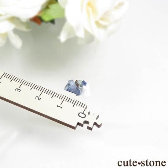 ե˥ ٥˥ȥȤդ뾽ʸС 2ctμ̿3 cute stone