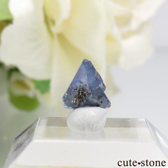 ե˥ ٥˥ȥȤη뾽ʸС 0.6ctμ̿1 cute stone