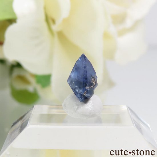 ե˥ ٥˥ȥȤη뾽ʸС 0.6ctμ̿2 cute stone