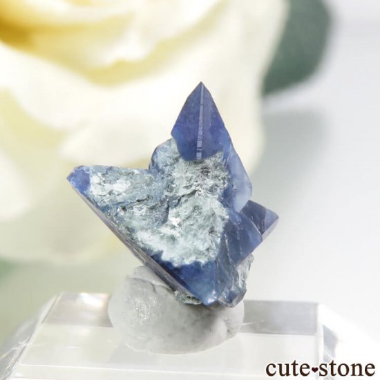 ե˥ ٥˥ȥȤη뾽ʸС 3.5ctμ̿0 cute stone