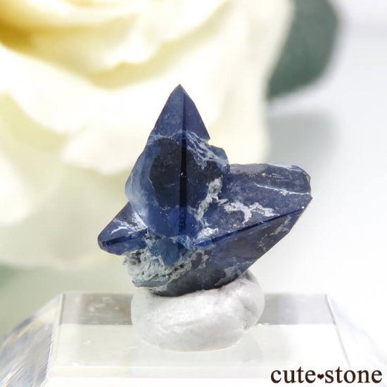 ե˥ ٥˥ȥȤη뾽ʸС 3.5ctμ̿2 cute stone