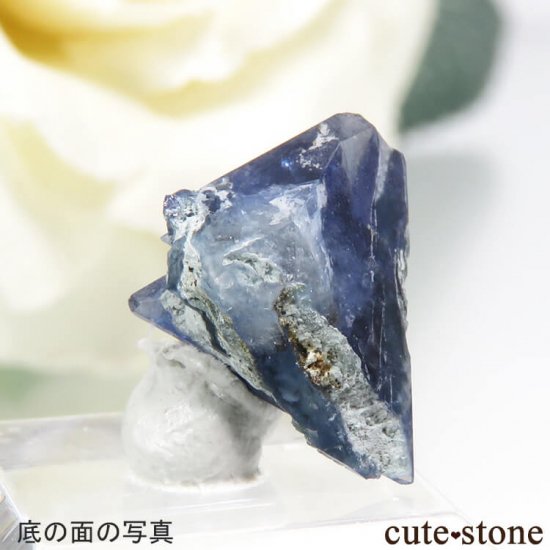 ե˥ ٥˥ȥȤη뾽ʸС 3.5ctμ̿3 cute stone